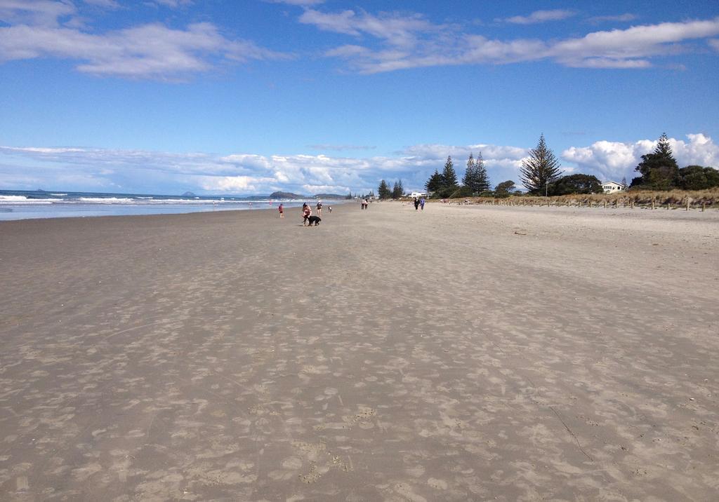 Atalaya Apartment Waihi Luaran gambar